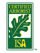 Certified Arborist